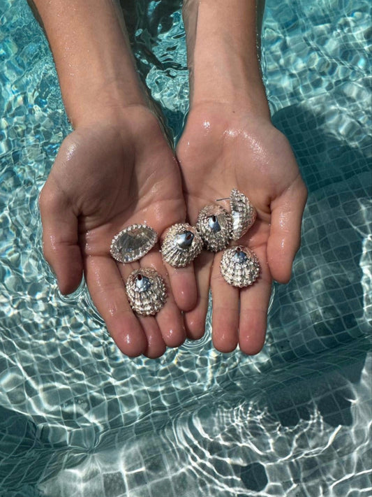 Salt & Shell Earrings